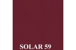 Solar 59 red rose