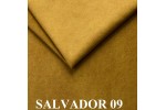 Salvador 09 okra